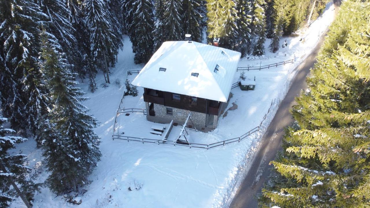 Apartments Villa Vesna Pokljuka ゴレンスカ地方 エクステリア 写真
