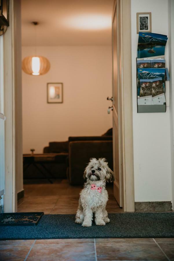 Apartments Villa Vesna Pokljuka ゴレンスカ地方 エクステリア 写真